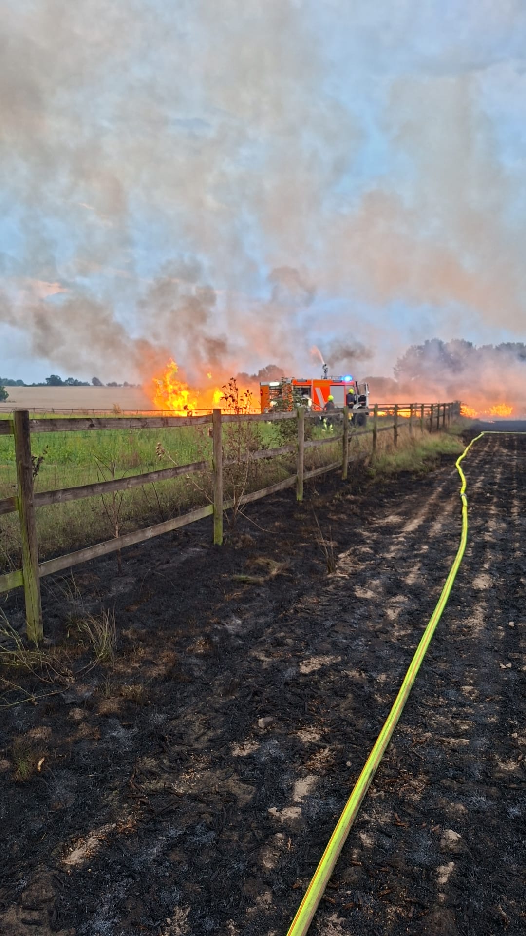 Einsatz 2 30.07.2026